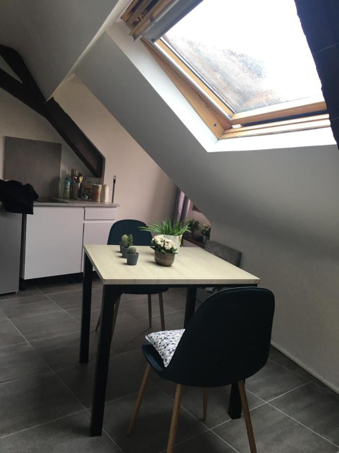 Plantagenet -Le Vieux Mans - Hyper Centre Lejlighed Le Mans Eksteriør billede